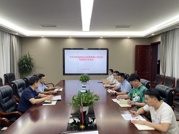 金阳组织生活会.jpg